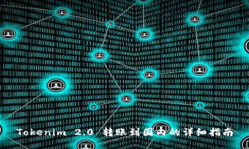Tokenim 2.0 转账到国内的详细指南