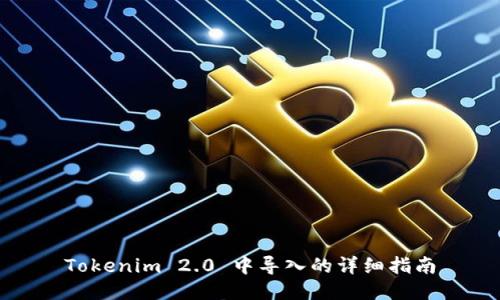 Tokenim 2.0 中导入的详细指南