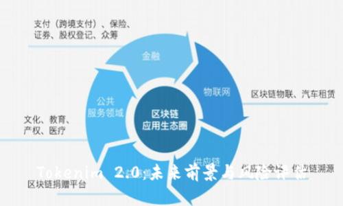 Tokenim 2.0：未来前景与风险评估