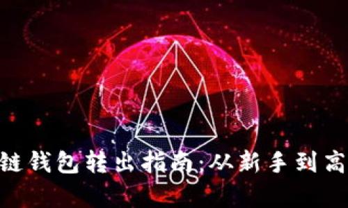 : Tokenim多链钱包转出指南：从新手到高手的全面解析