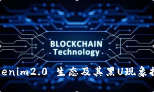 Tokenim2.0 生态及其黑U现象探究