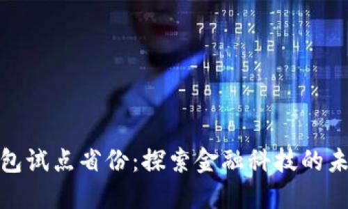 数字钱包试点省份：探索金融科技的未来之路