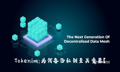 Tokenim：为何备份私钥至关重要？