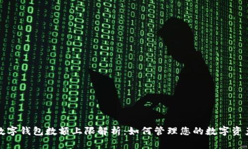 数字钱包数额上限解析：如何管理您的数字资产