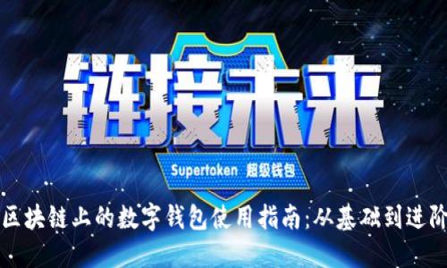 区块链上的数字钱包使用指南：从基础到进阶