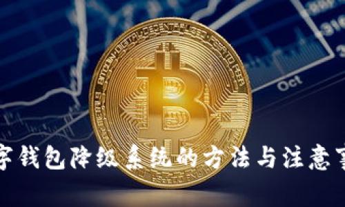 数字钱包降级系统的方法与注意事项