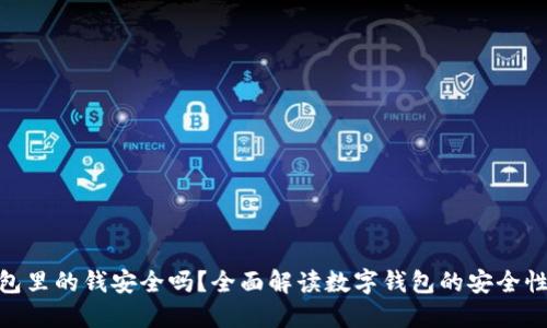数字钱包里的钱安全吗？全面解读数字钱包的安全性与风险