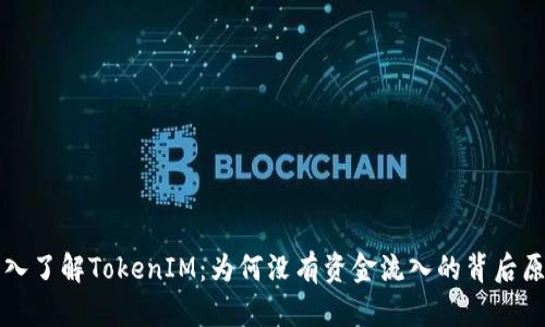 深入了解TokenIM：为何没有资金流入的背后原因