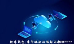 数字钱包：中午放款的崛