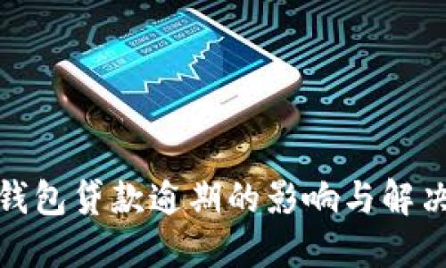 数字钱包贷款逾期的影响与解决方案
