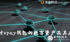 深入探讨vpay钱包的数字资