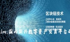 Tokenim：国内新兴数字资产