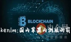 探索Tokenim：国内苹果内测