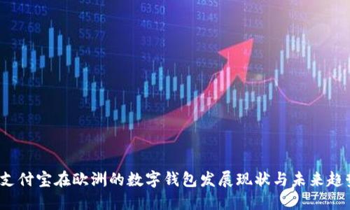  支付宝在欧洲的数字钱包发展现状与未来趋势