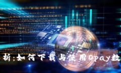 全面解析：如何下载与使