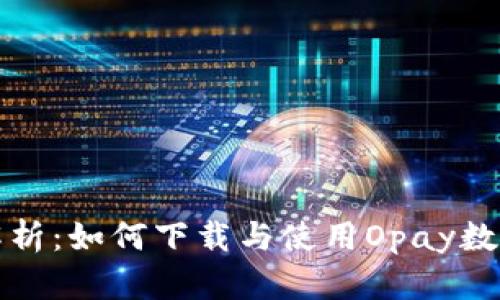 全面解析：如何下载与使用Opay数字钱包