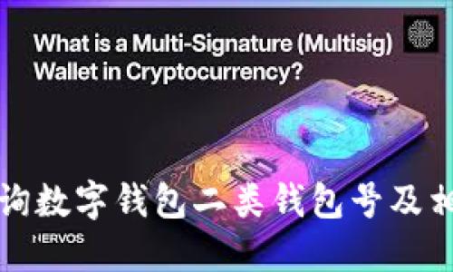 如何查询数字钱包二类钱包号及相关信息