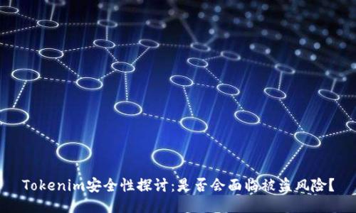 Tokenim安全性探讨：是否会面临被盗风险？