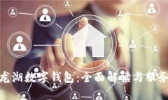 探索龙湖数字钱包：全面
