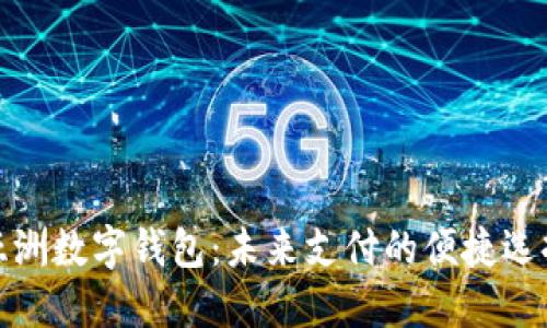 亚洲数字钱包：未来支付的便捷选择