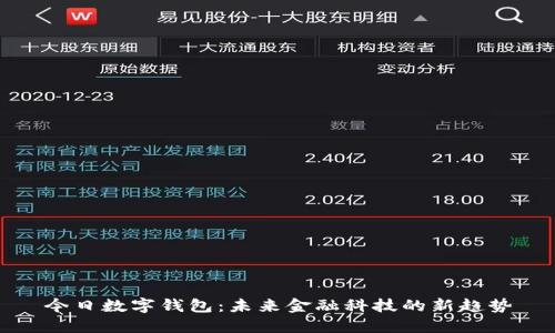 今日数字钱包：未来金融科技的新趋势