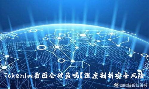 Tokenim截图会被盗吗？深度剖析安全风险