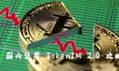 : 国内使用 TokenIM 2.0 攻略