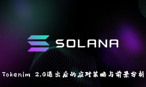 Tokenim 2.0退出后的应对策略与前景分析