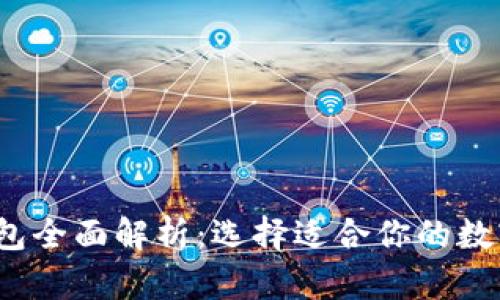  区块链钱包全面解析：选择适合你的数字货币钱包