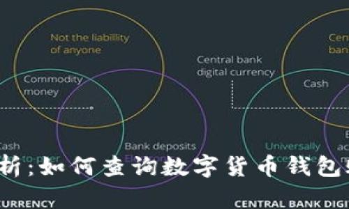  全面解析：如何查询数字货币钱包账户信息