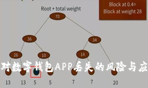 如何应对数字钱包APP丢失的风险与应急措施