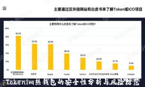
Tokenim热钱包的安全性分析与风险防范