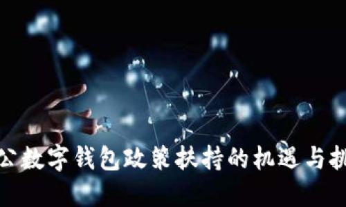 对公数字钱包政策扶持的机遇与挑战