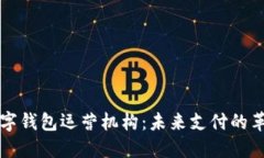 济南数字钱包运营机构：