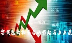 数字钱包购物平台的崛起
