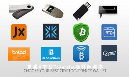 苹果X下载Tokenim的详细指南