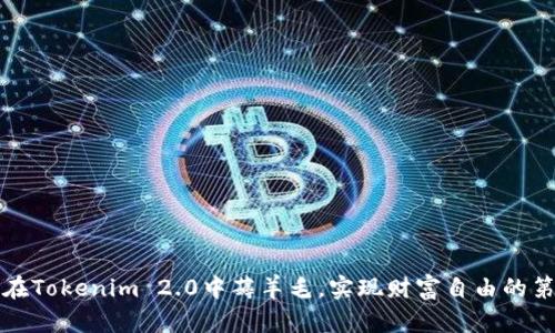 如何在Tokenim 2.0中薅羊毛，实现财富自由的第一步