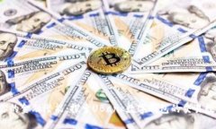 释放你的金融潜能：探索