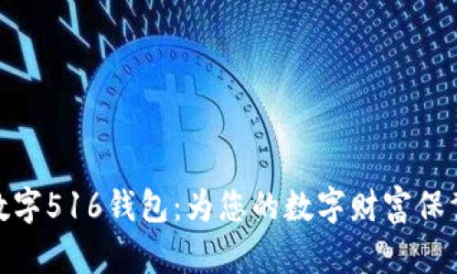 探索数字516钱包：为您的数字财富保驾护航