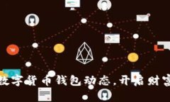 掌握USDT数字货币钱包动态