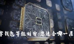 数字钱包等级划分：您适