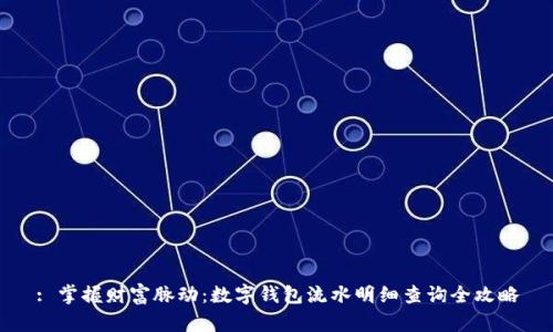 : 掌握财富脉动：数字钱包流水明细查询全攻略