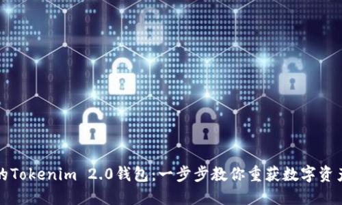 找回你的Tokenim 2.0钱包：一步步教你重获数字资产的安全