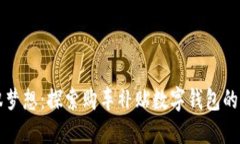 驾驭梦想：探索购车补贴