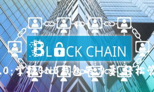 解锁Tokenim 2.0：掌握BNB钱包的力量，轻松管理您的数字资产