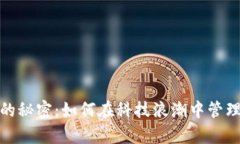 数字钱包的秘密：如何在