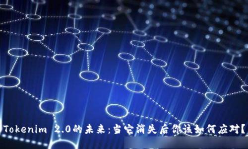 Tokenim 2.0的未来：当它消失后你该如何应对？