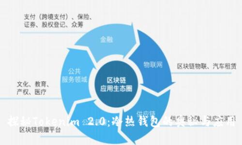 探秘Tokenim 2.0：冷热钱包的奥秘与应用