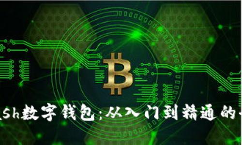 掌握Kcash数字钱包：从入门到精通的全面教程