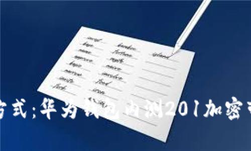 开启未来支付新方式：华为钱包内测201加密带来的便利与安全